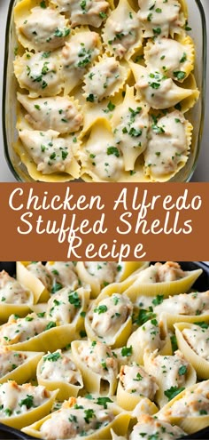 chicken alfredo stuffed shells in a casserole dish