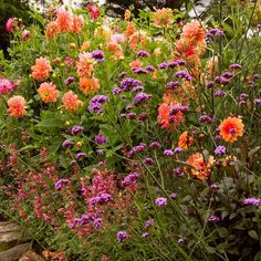 an assortment of colorful flowers in a garden