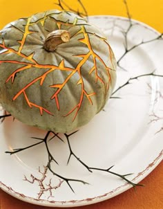 a white plate topped with a green and orange pumpkin