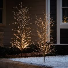 lighted trees in front of a house with snow on the ground and bushes next to it