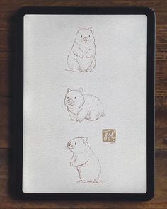 three drawings of animals are shown on a white paper with brown ink and black frame