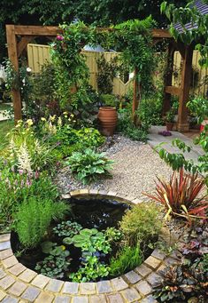 an outdoor garden with lots of plants and water