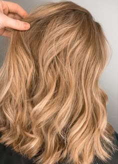 Warm Honey Blonde Highlights Beeline Honey Blonde Hair, Honey Golden Blonde Hair Caramel, Caramel Honey Blonde Highlights, Light Caramel Blonde Hair, Caramel Blonde Hair Balayage, Warm Blonde Balayage Honey, Golden Dark Blonde Hair, Blonde Highlights On Dark Blonde Hair, Lived In Honey Blonde