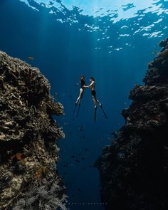 two people are diving in the water