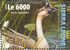 a stamp with a duck in the water