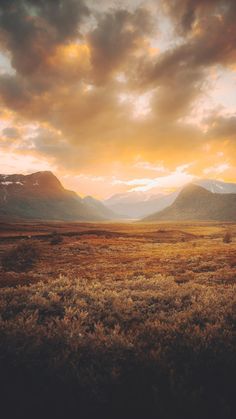 the sun is setting over some mountains in the distance, with grass and bushes on the foreground