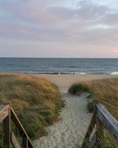 the beach is lined with tall grass and sand