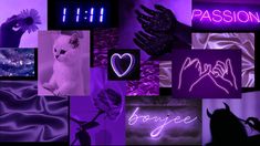 a collage of purple images with the words passion written in neon letters and pictures of cats