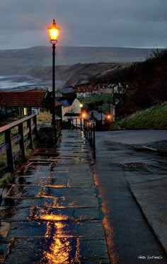 a street light sitting on the side of a wet road