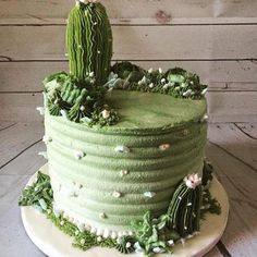 there is a green cake with cactus decorations on the top and bottom, sitting on a white plate