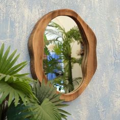 a mirror hanging on the side of a wall next to a potted palm tree