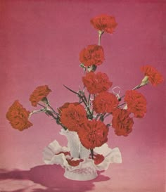 red carnations in a white vase on a pink background