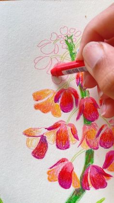 someone is drawing flowers with colored pencils