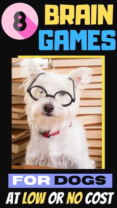 a white dog wearing glasses with the words brain games for dogs at low or no cost