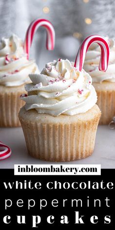 white chocolate peppermint cupcakes with candy canes on top