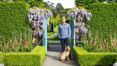 a man standing next to a brown dog in front of a lush green hedge garden