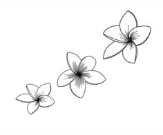 three flowers are shown in black and white, with one flower on the left side