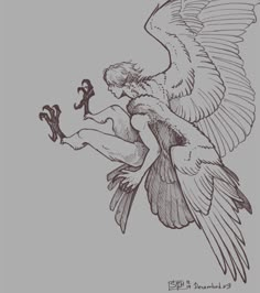 a drawing of a bird with a human figure on it's back and wings