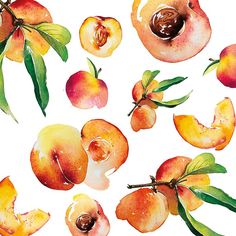 an image of peaches with leaves and watercolors on white background for wallpaper