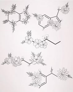 an image of flowers and the chemical formulas