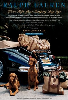 two dogs sitting next to a motorcycle with bags on the back and luggage behind them