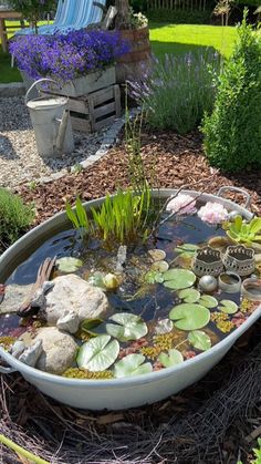 a garden pond filled with water lilies and rocks in the middle of a yard