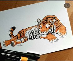 a drawing of a tiger laying on the ground