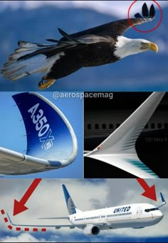 an airplane is flying in the sky with four different pictures below it, and there are arrows pointing to each plane