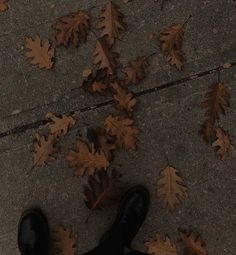 Dark Brown Autumn Aesthetic, Halloween Dark Academia Aesthetic, Autumn Dark Academia Aesthetic, Dark Academia Rock Aesthetic, Orange Witchy Aesthetic, Dark Academia Nature Aesthetic, Autumn Brown Aesthetic, Dark Academia Autumn Aesthetic, Dark Academia Astethic