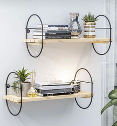 two shelves with books and plants on them