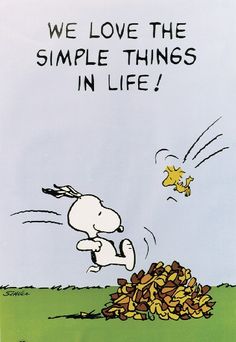 a cartoon dog is jumping over a pile of peanuts and the words, we love the simple things in life