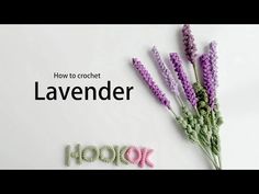 crochet lavender flowers with the words how to crochet in front of them