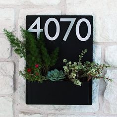 a house number sign with succulents and plants on it