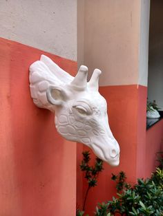 a white giraffe head mounted to the side of a building next to plants