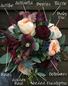 an arrangement of flowers is labeled in the words astilie, astrantia, berris, thistle, peony etc