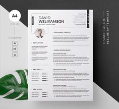 a clean and modern resume template with a green leaf on the top, in black and white