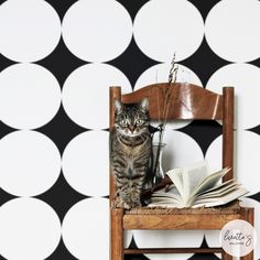 a cat sitting on top of a wooden chair next to a wall with black and white circles