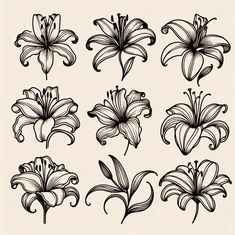 black and white flowers with swirls on the petals are drawn by hand in ink