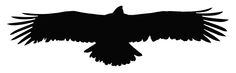 a black silhouette of a bird with its wings spread