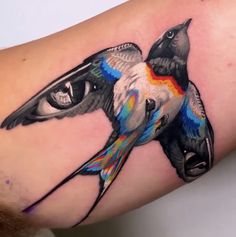 a colorful bird tattoo on the arm with an eye in it's back side