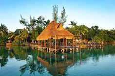 a hut sitting on top of a body of water next to lush green trees and palm trees