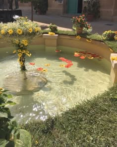 a pond filled with lots of water and yellow flowers in the middle of it's sides