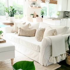 a living room filled with white furniture and lots of greenery on the windowsill