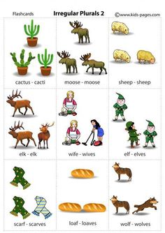 an english worksheet with pictures of animals and plants