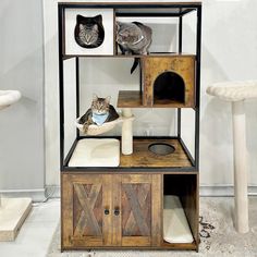 two cats sitting on top of a wooden shelf with cat houses and scratching pads in it