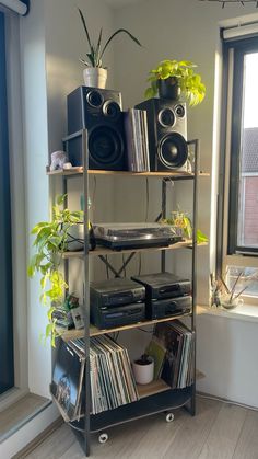 a shelf filled with lots of different types of audio equipment and plants in front of a window