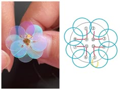 a hand holding a flower shaped object next to an image of four circles with numbers on them