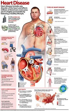 the heart and its major functions are shown in this diagram, which shows how it works