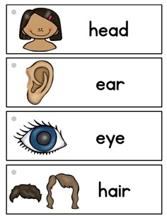 the word head, ear and eye are shown in this printable worksheet