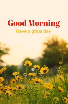 the words good morning have a great day are in front of yellow wildflowers